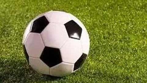 乐鱼体育 资讯 112207 3xz