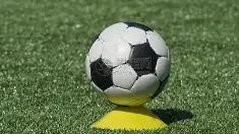 乐鱼体育 产品 113239 am1