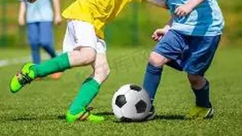 乐鱼体育 资讯 113232 2om