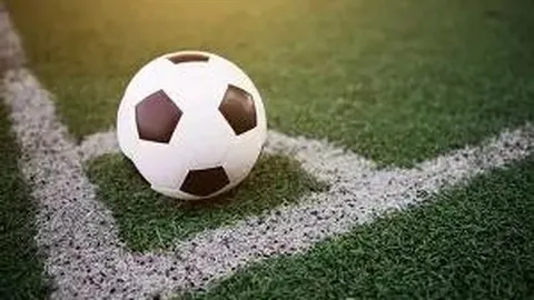 乐鱼体育 资讯 113203 l9v