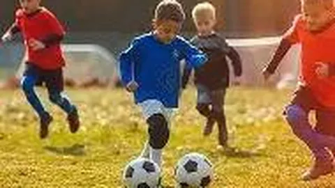 乐鱼体育 产品 094231 d1z